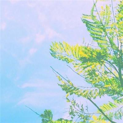 爆衣萌娘满v版游戏下载